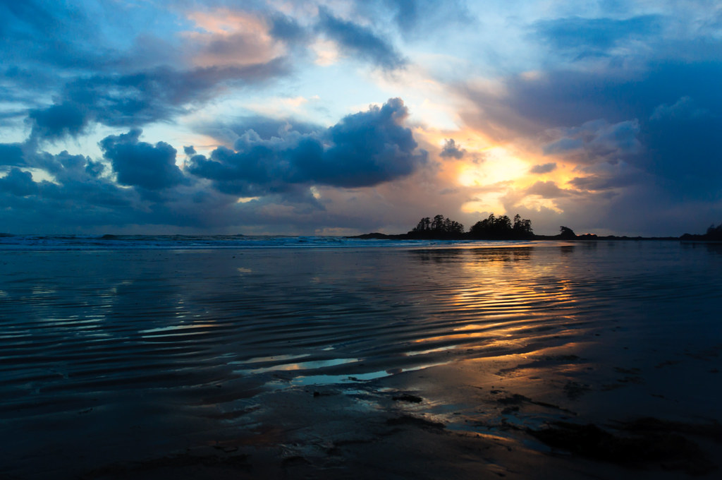 Tofino